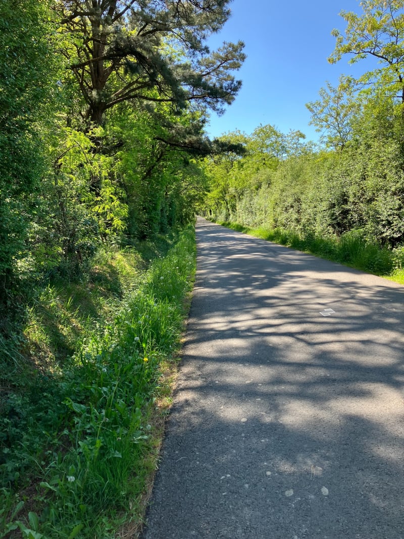Balade en campagne Machecoulaise - Machecoul-Saint-Même