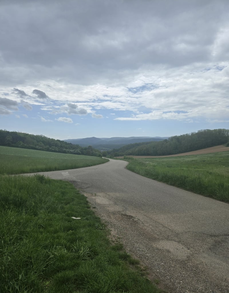 Wasselonne- Molsheim - Wasselonne