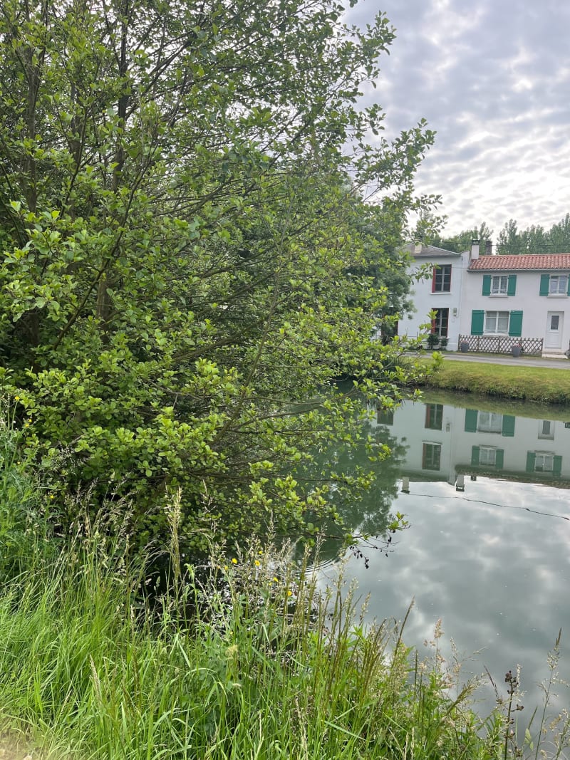 Balade  le long des canaux du marais mouillé - Coulon