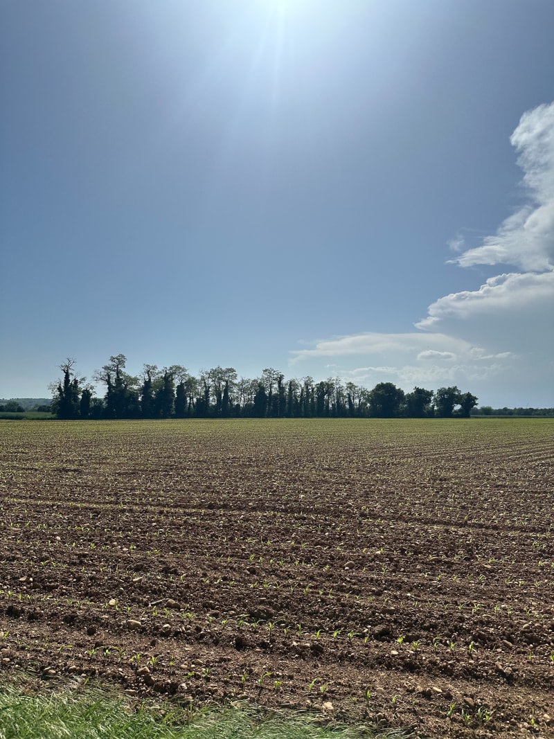 Balade dans les chemins de saint Laurent de Mure - Saint-Laurent-de-Mure