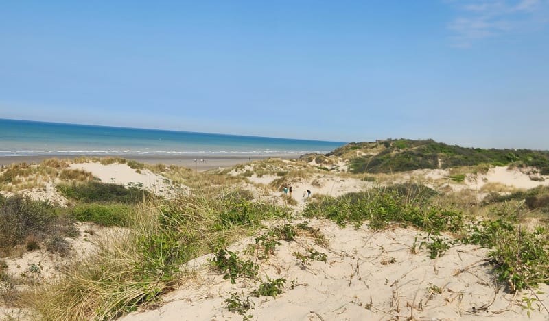 Balade Leffrinckoucke entre dunes et plage - Leffrinckoucke