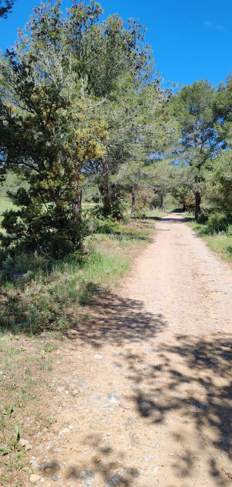 Balade autour de Moujan - Narbonne