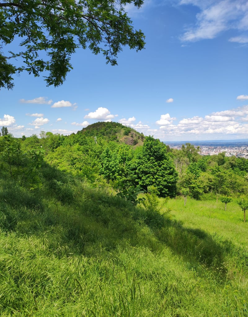 Puy de Montaudoux et bois de la Châtaigneraie - Ceyrat