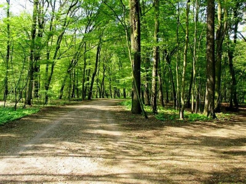 APR 2017 - 10 km - Poznań