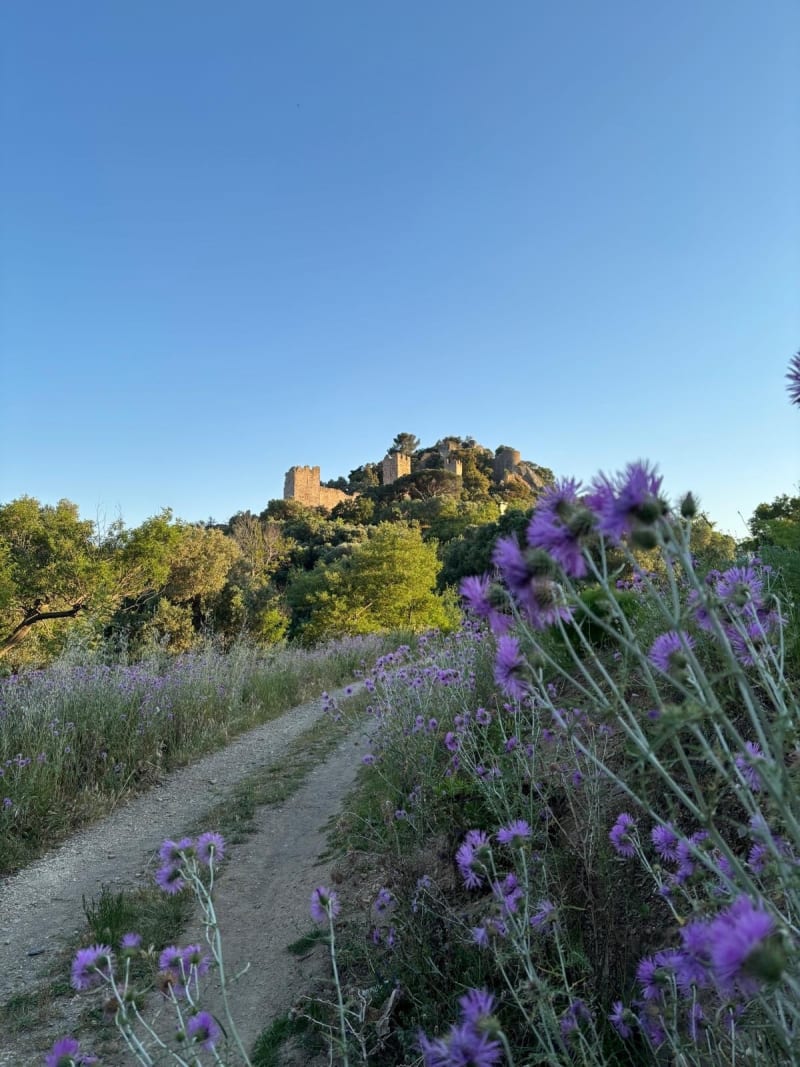 Château de Hyères et panorama depuis la Vigie - Hyères