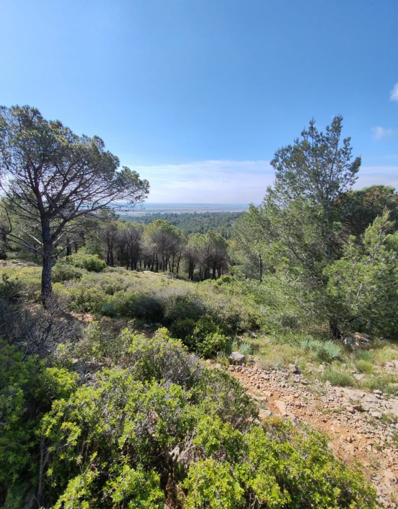 La grotte au-dessus de Narbonne-Plage - Armissan
