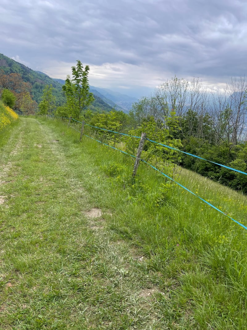 Le Tour, par les Ayes et Col de la Croix de Theys - Theys