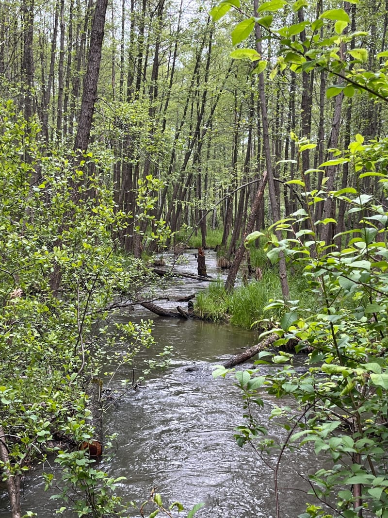Błędów -Laski- Okradzionów. - Dąbrowa Górnicza