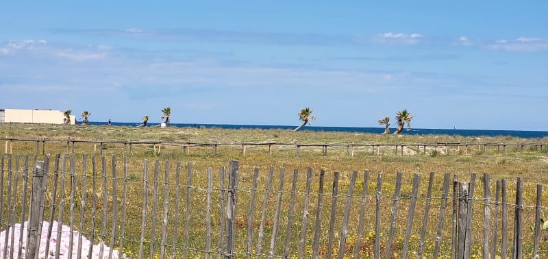 Le Barcarès et ses alentours - Le Barcarès