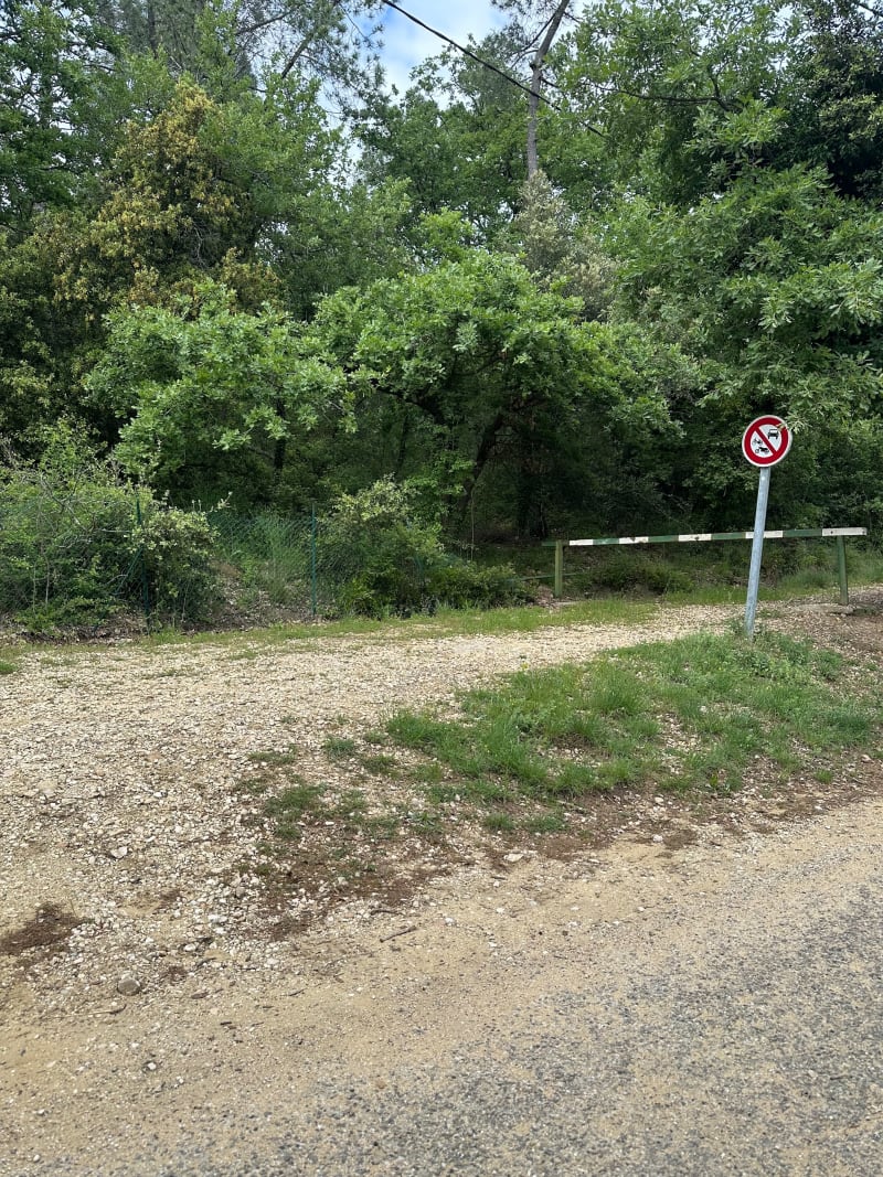 Balade en forêt de Chanabasset - Saint-Paul-Trois-Châteaux