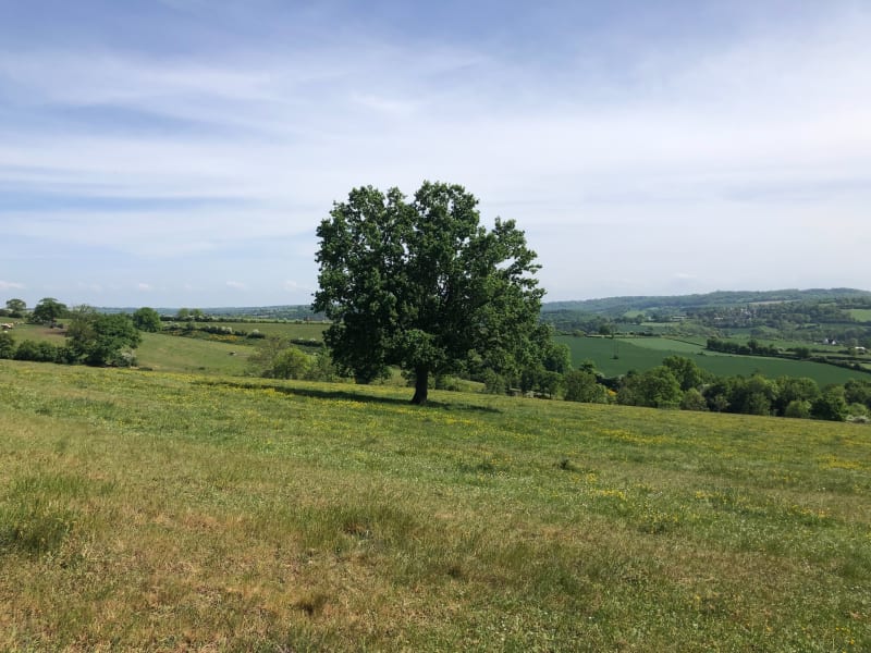 Petite boucle depuis Mesnil Hubert Sur Orne - Ménil-Hubert-sur-Orne
