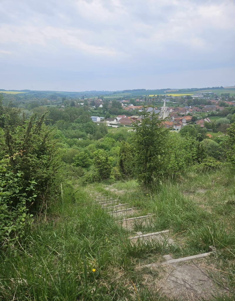 Par le mont et le marais à Lumbres - Lumbres