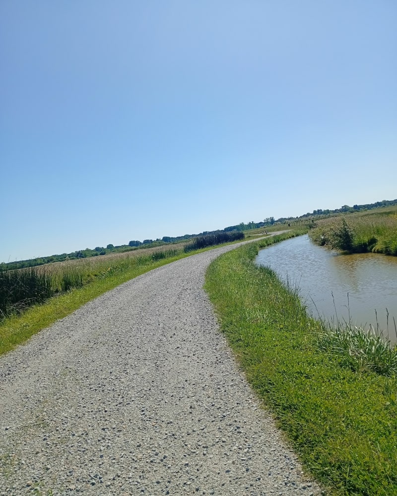 Grande balade autour de Saint-Hilaire-de-Riez - Notre-Dame-de-Riez