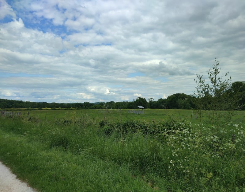 Dans la campagne d'Izon - Izon