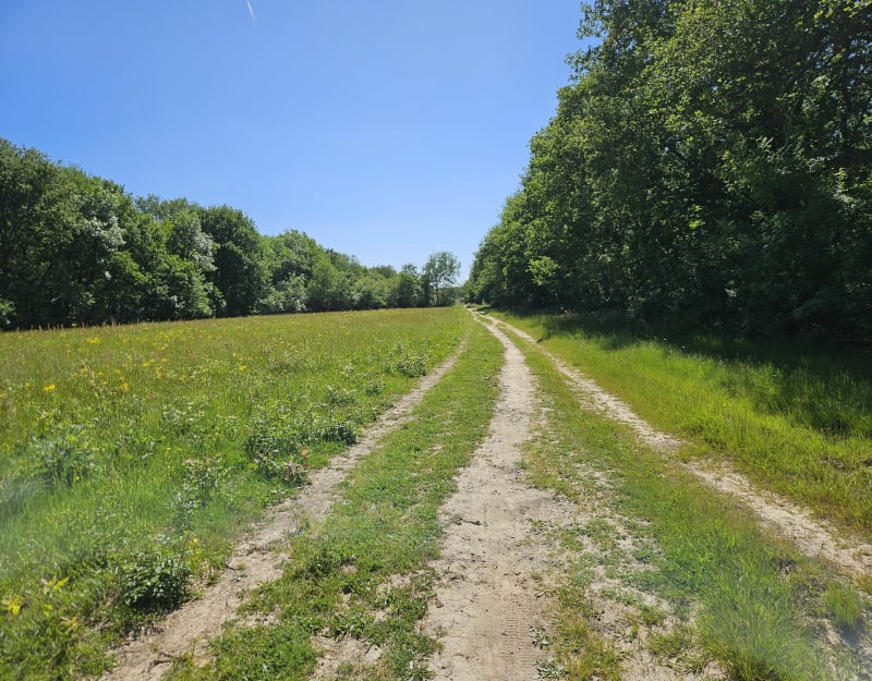 Balade à Bouconne par le lac - Pibrac
