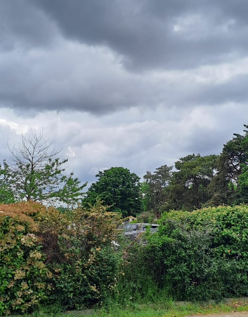 Balade dans le parc de Parilly - Bron
