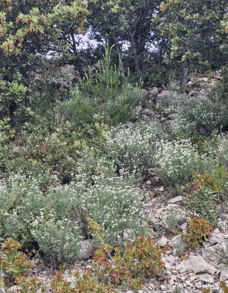 Sainte Baume et atterrissage de la Sainte Victoire - Beaurecueil