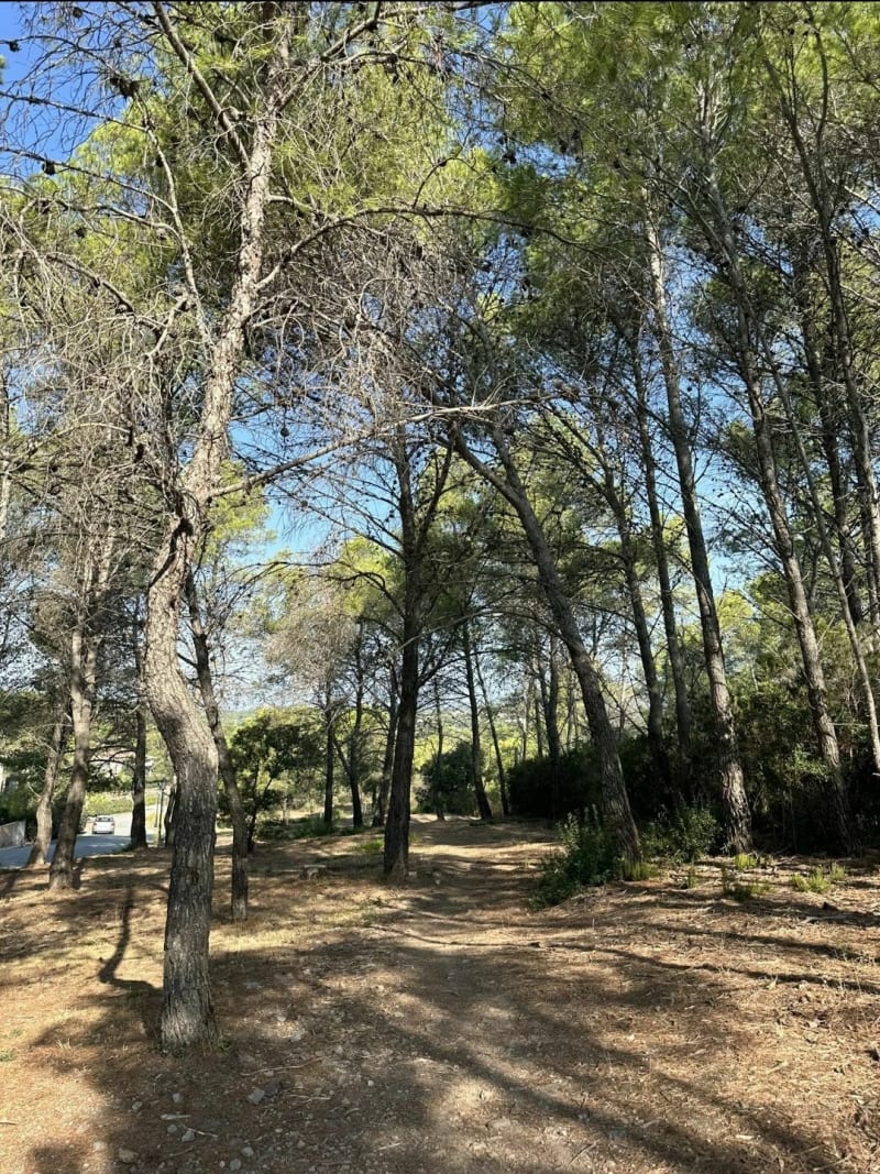 Colle maronne - colle d'alons - Saint-Raphaël
