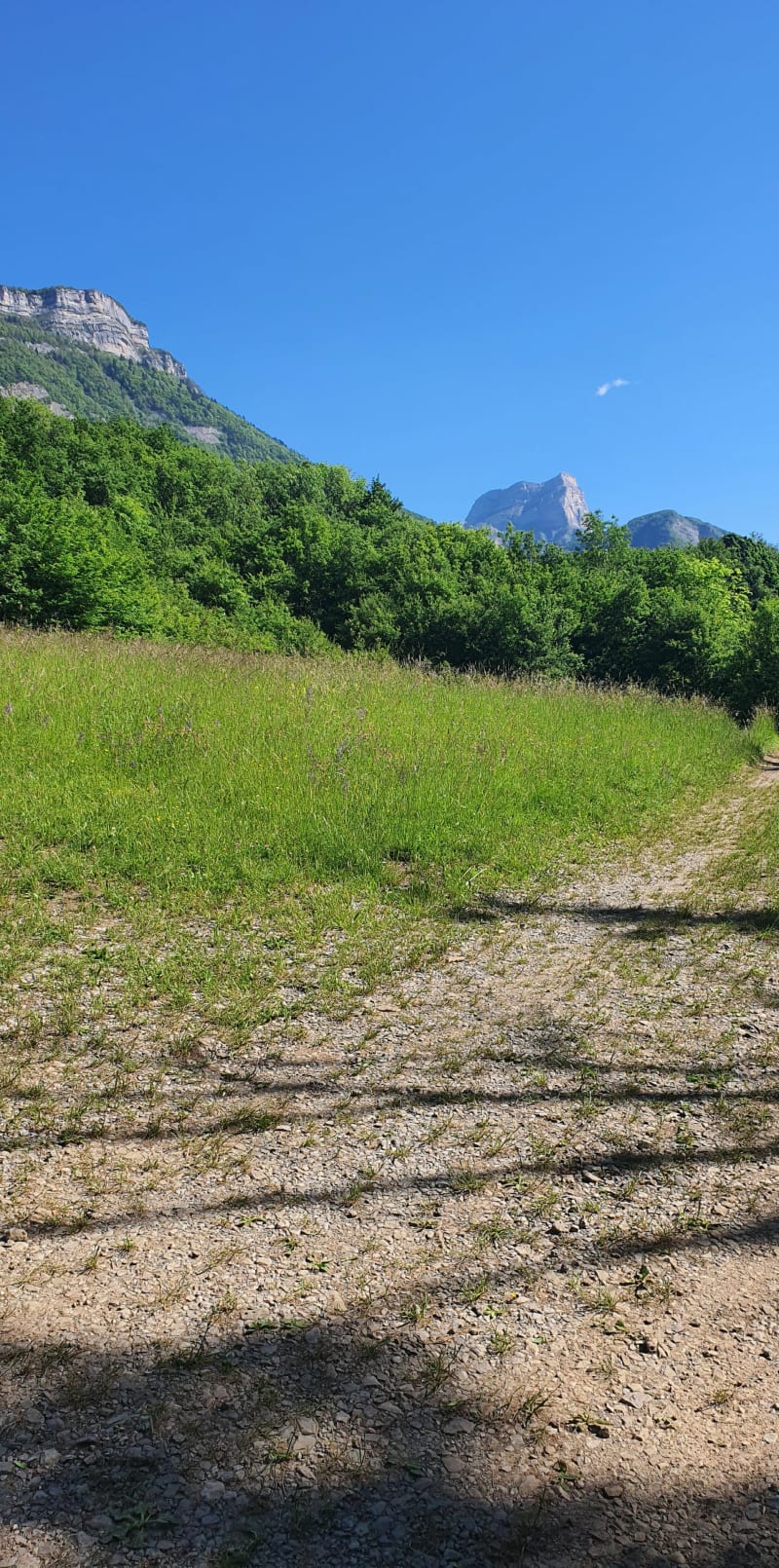 De Biviers à St Ismier en passant par la Tour d'Arces - Biviers