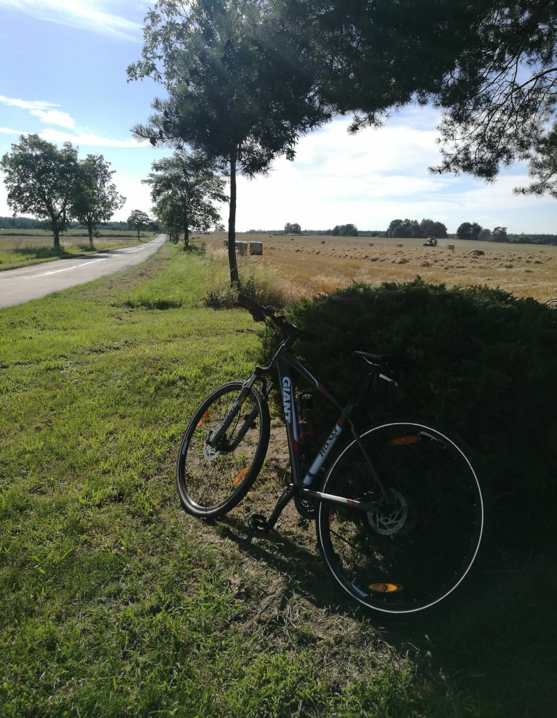 Pętla po Opolu - Opole