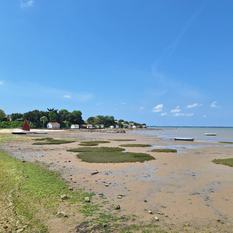 Plongée dans le monde maritime au Chapus - Bourcefranc-le-Chapus