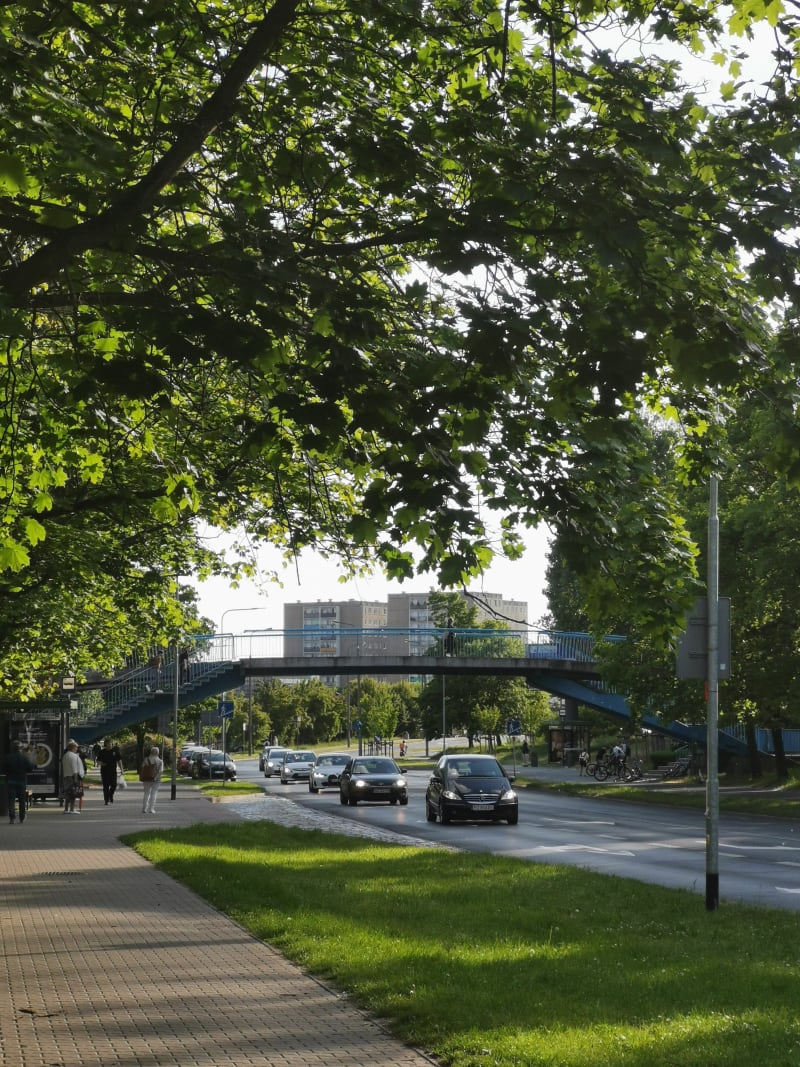Pętla Winogrady-park Cytadela (ok. 5.6km) - Poznań