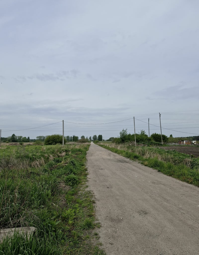 Trasa na Parkur, las - Nidzica