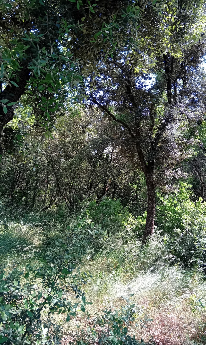 Boucle autour de Gigognan - Sorgues