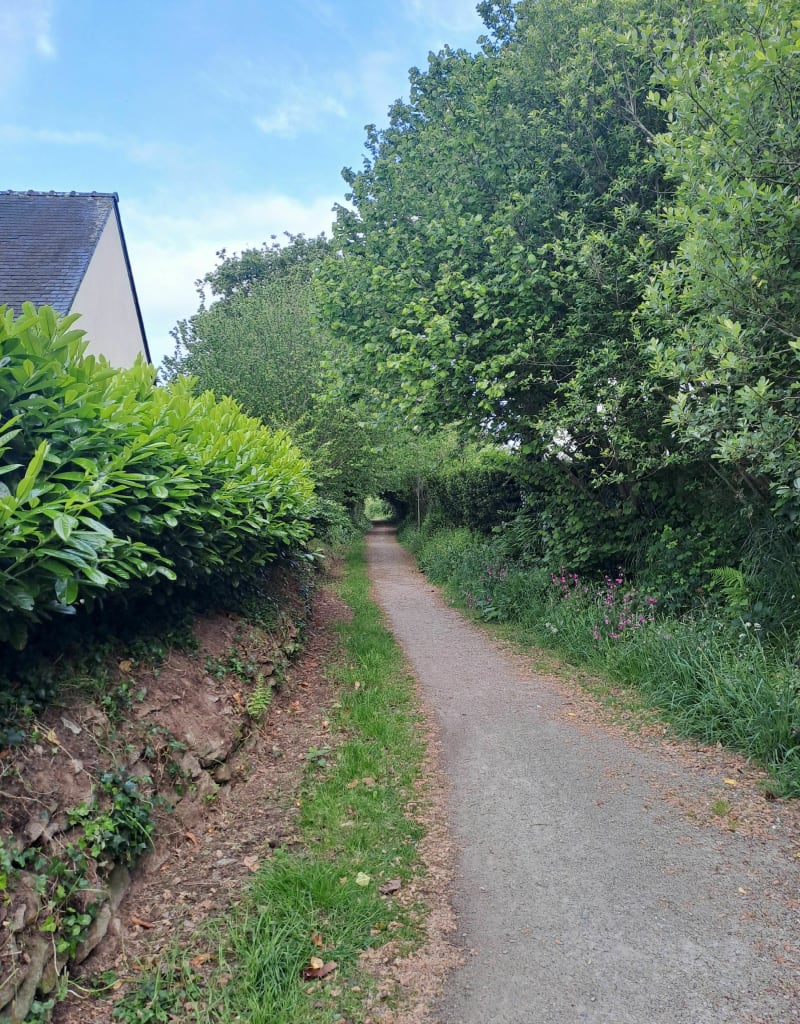 Autour de Plouzané par le Fort du Minou - Brest