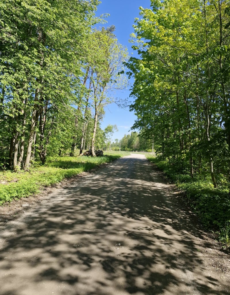 Lasek Miejski Nidzica 8,5 km - Nidzica