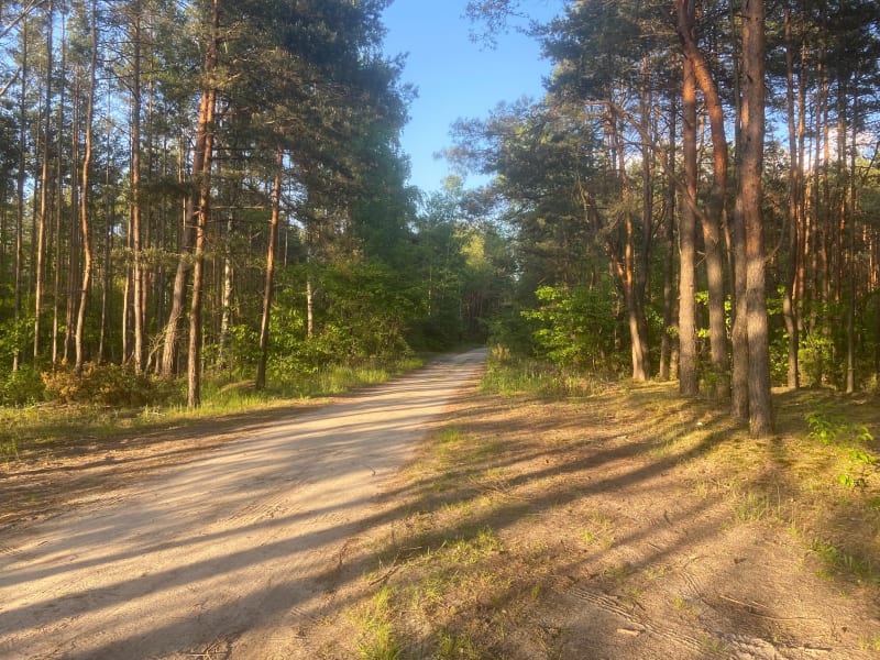 Pętla od Moniuszki, lasem i Żeromskiego - Otwock