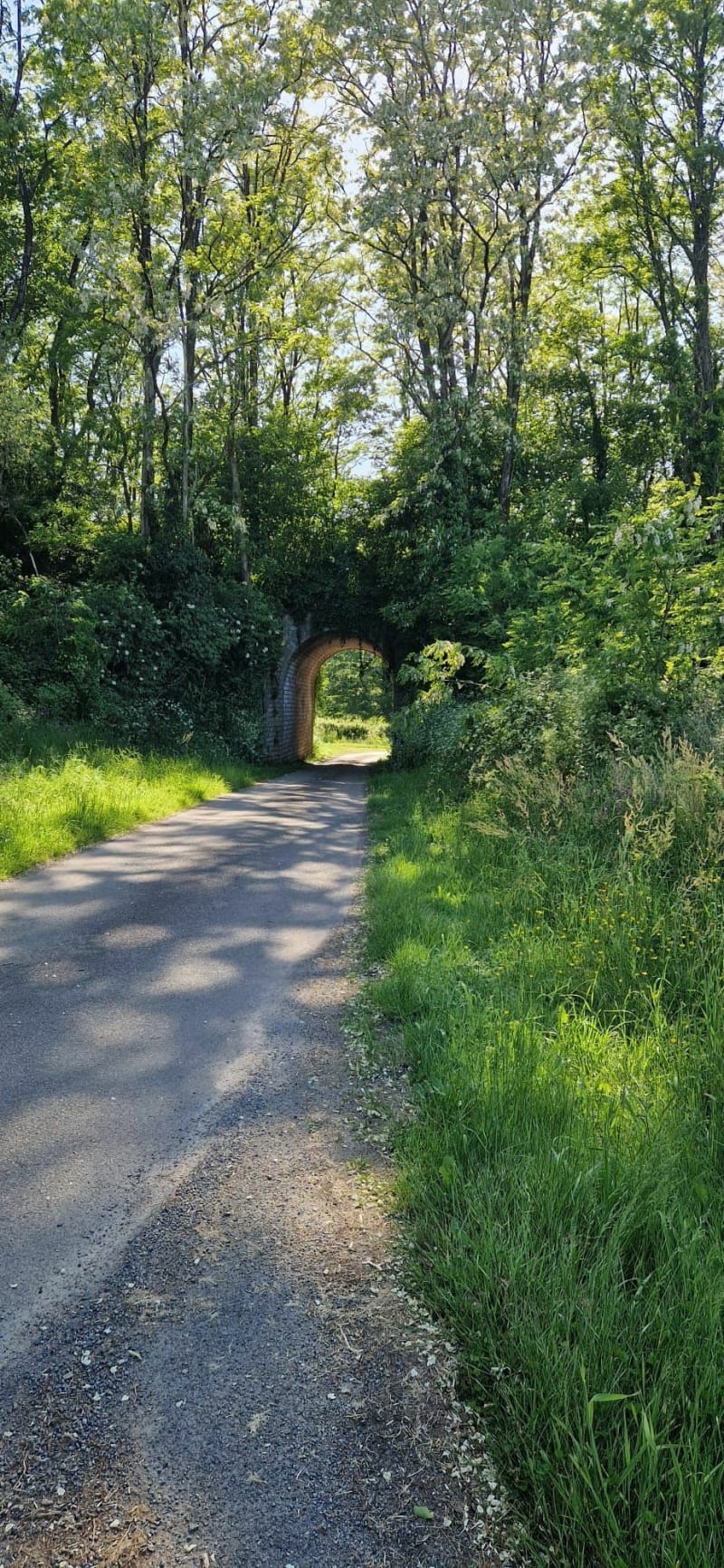 Les Vergnes sentier forestier - Manot