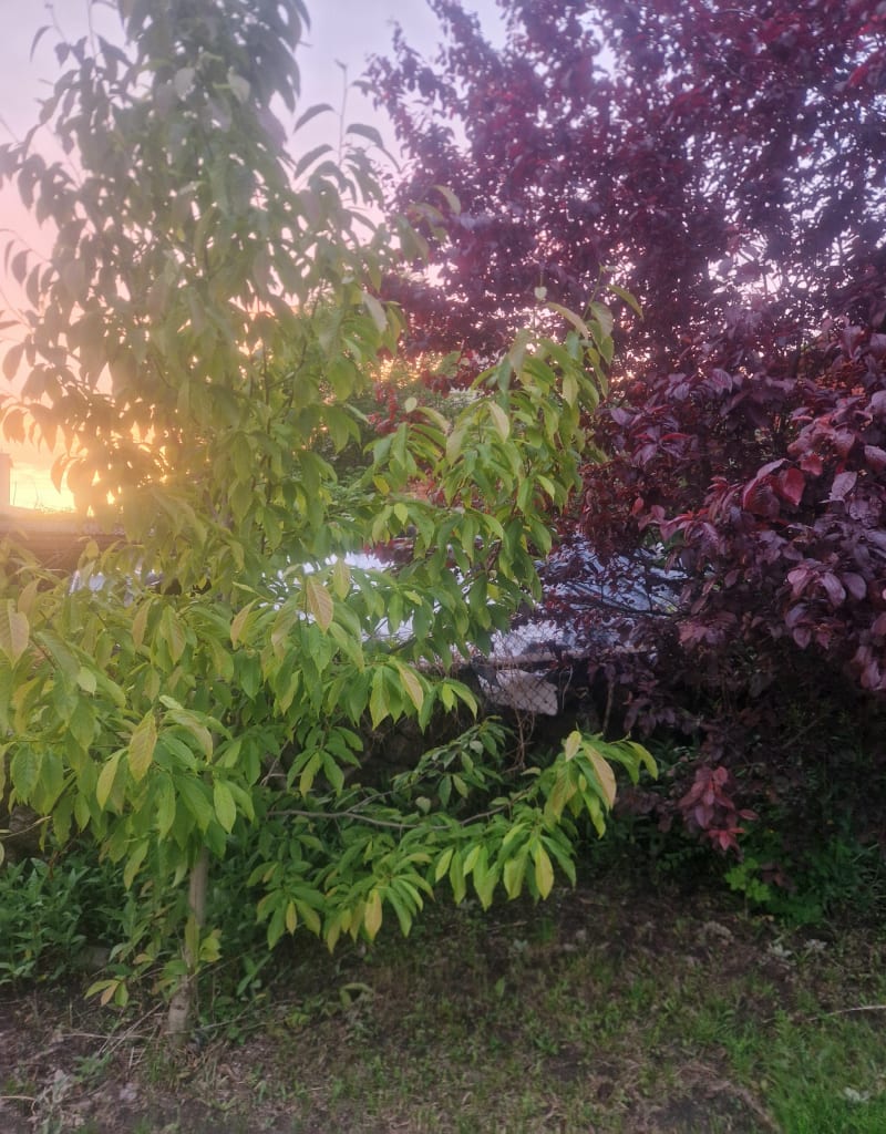 Po lasach i asfaltach - Wińsko