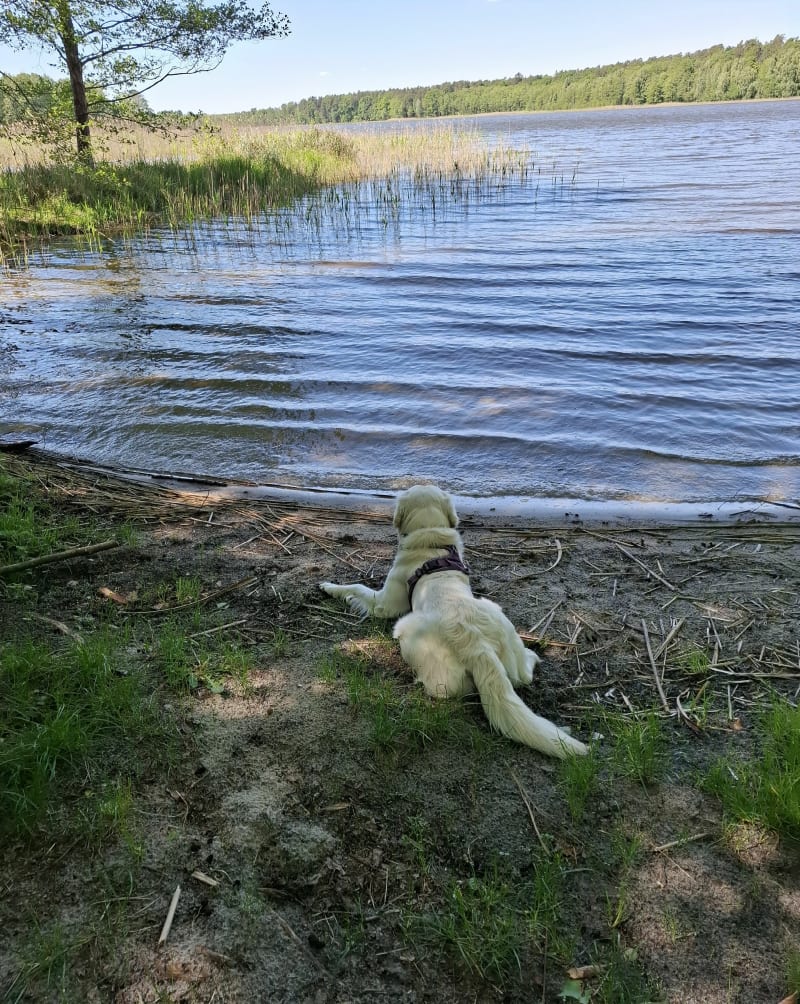 Jezioro Breńskie - Breń