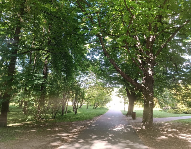 Parkowy spacer - Chorzów