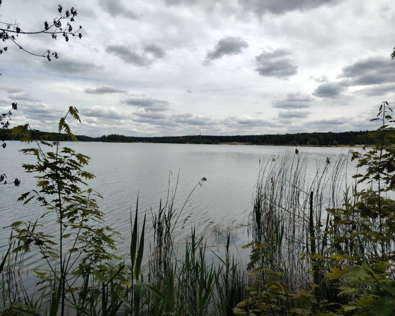 Stare Tarnowice-Centrum TG-Zalwe Chechło - Tarnowskie Góry