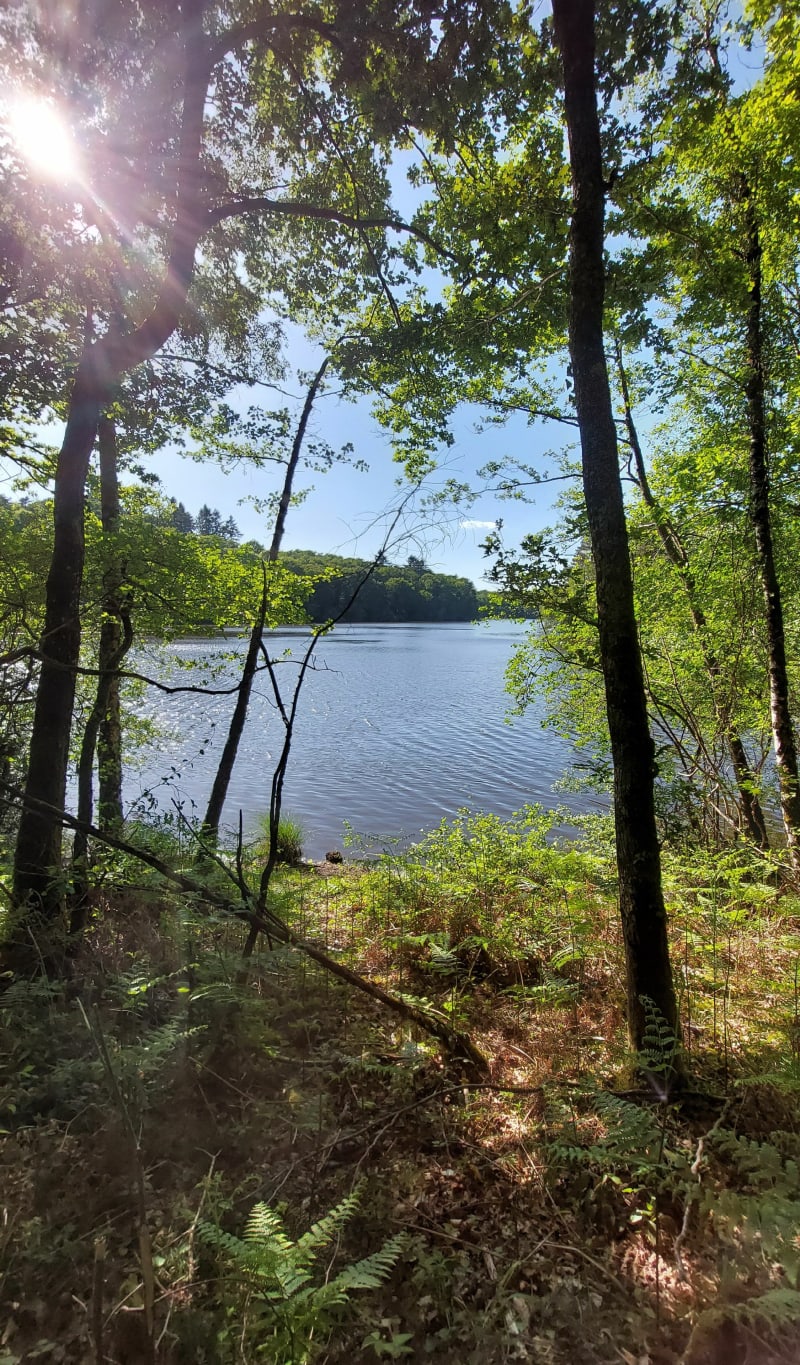 Pont à l'age les bois et le lac - Laurière