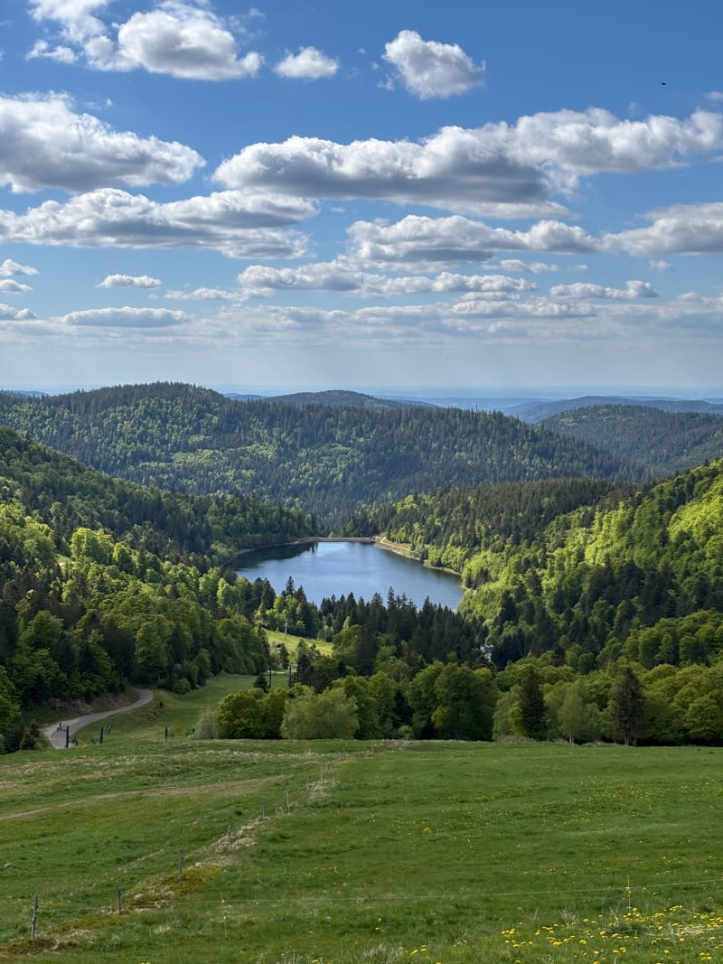 Platzer et route des crêtes - Muhlbach-sur-Munster