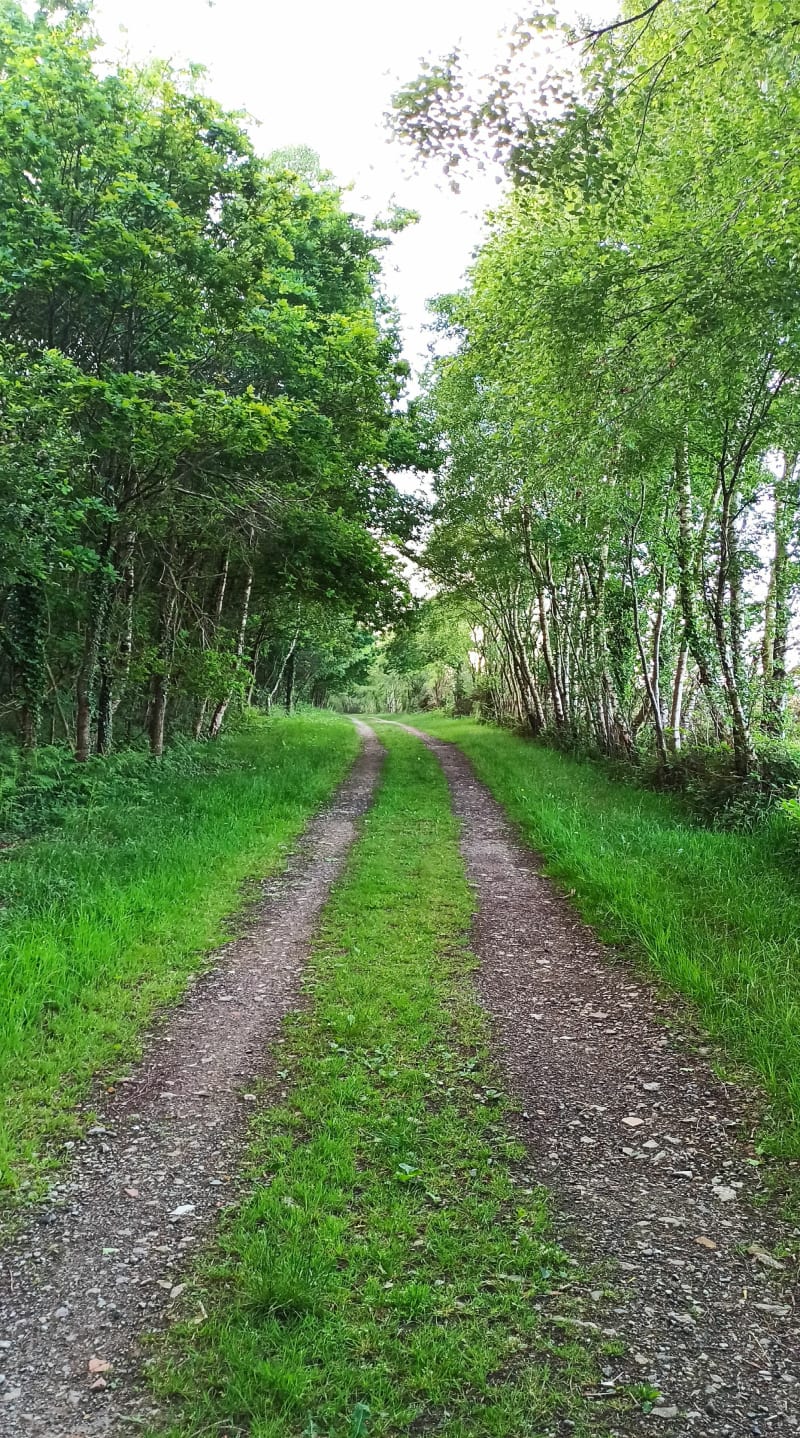 Balade en forêt d'Andaine - Bagnoles de l'Orne Normandie