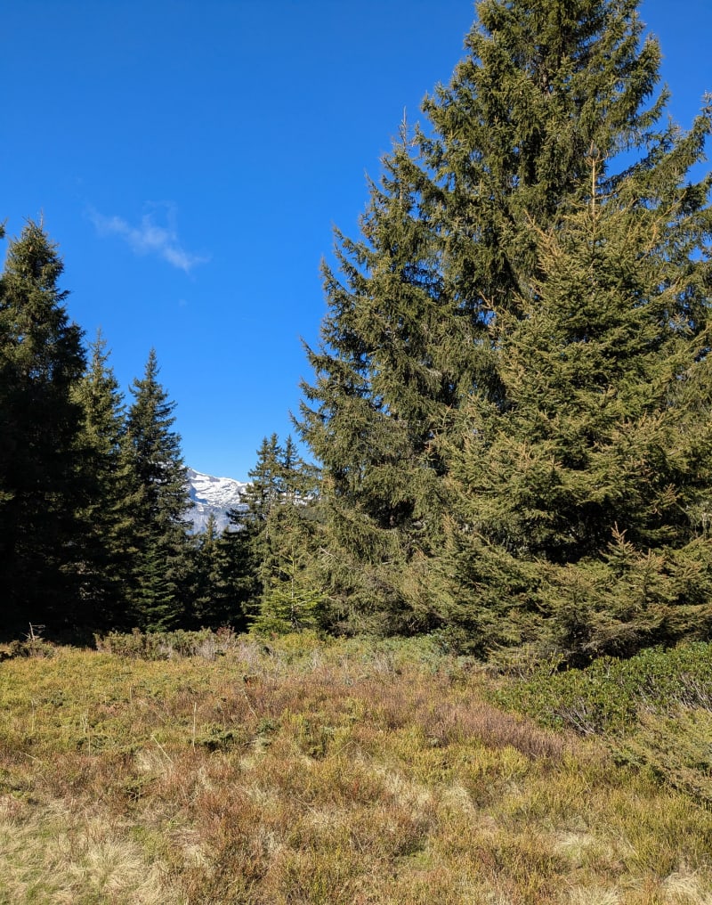 Boucle des 2 lacs de Flaine - Arâches-la-Frasse