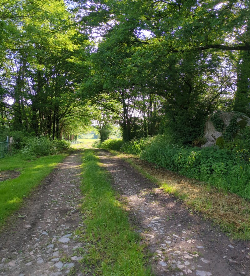 NEUVY BOUIN 40km - Neuvy-Bouin