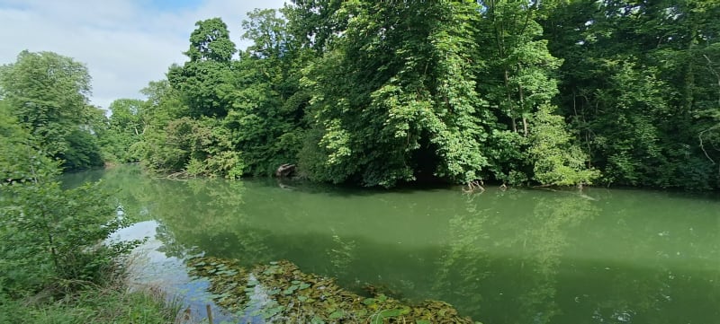 Sur les bords de Marne à Saint-Maur-des-Fossés - Saint-Maur-des-Fossés