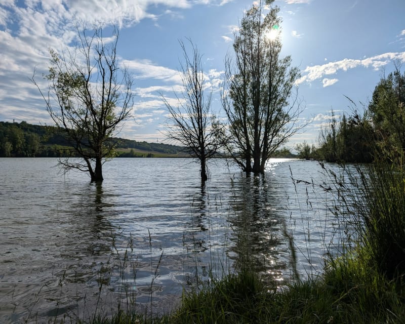 Lac de Lacépède - Lacépède