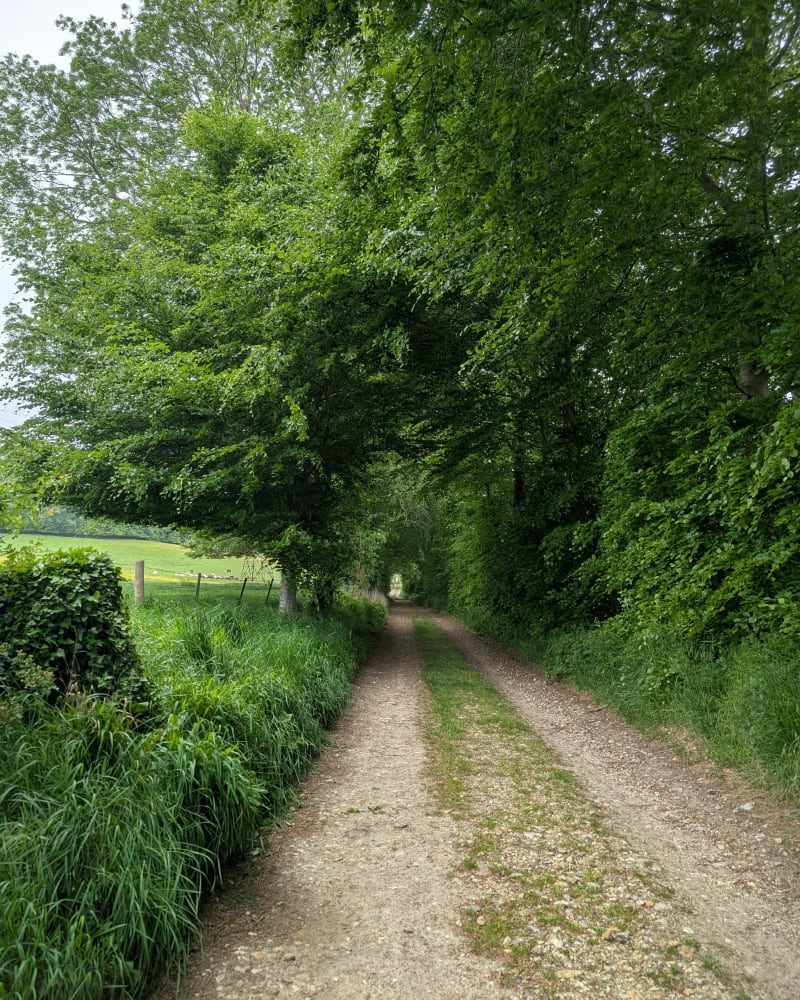 Ancourt / Forêt domaniale d'Arques - Ancourt
