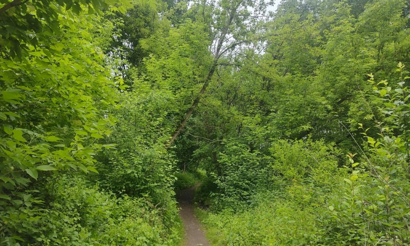 Łąki UJ Kraków - Kraków