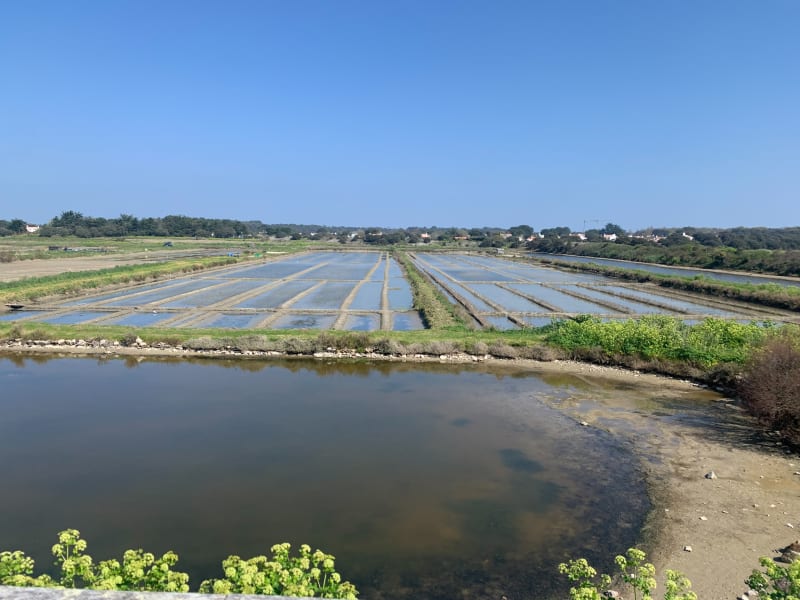 Balade Mer et Terre à Noirmoutier-en-l'Île - Noirmoutier-en-l'Île