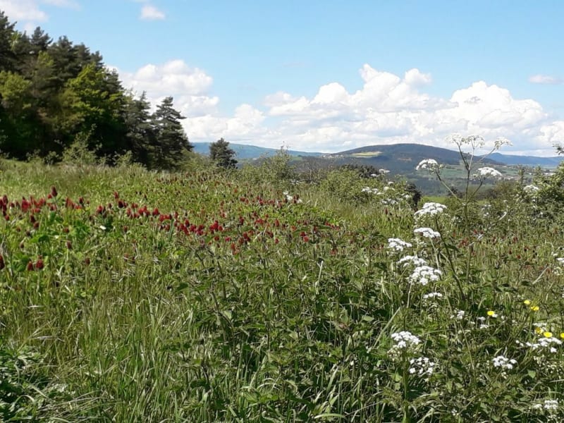 Plateau auvergnat en 4 étapes - Brives-Charensac