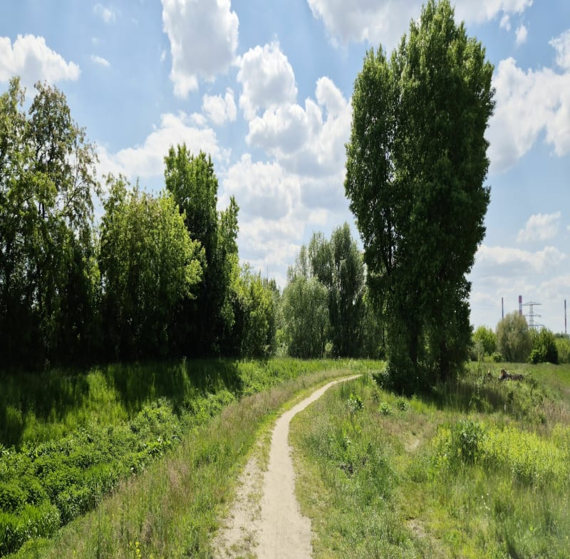 Spacer wzdłuż kanału Nowe Ujście - Warszawa