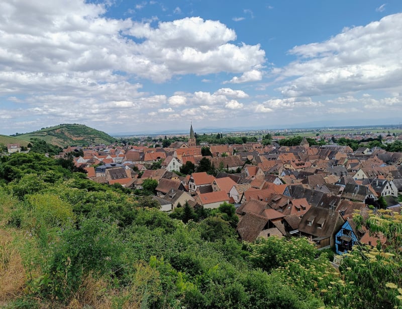 Autour des vignes de Turckheim - Turckheim