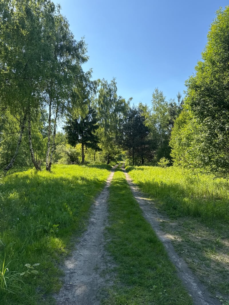 Olechów lasek - Łódź